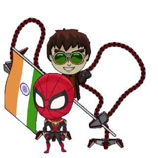 🇮🇳