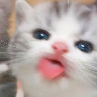 😋