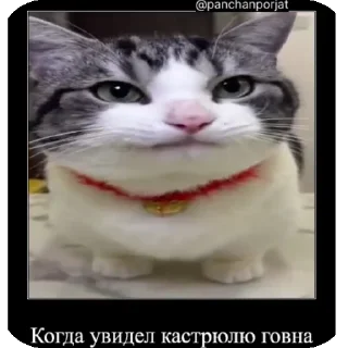 😋