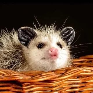 🙂