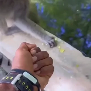 😠