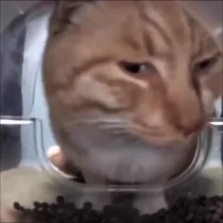 🥴