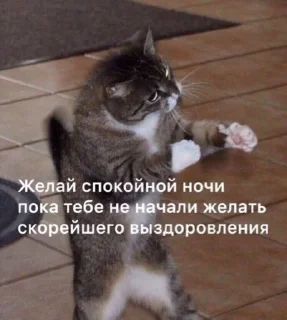 😡