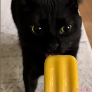 😮‍💨