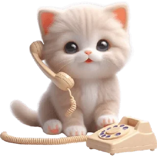 📞