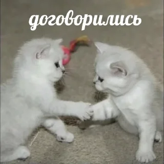 🤝