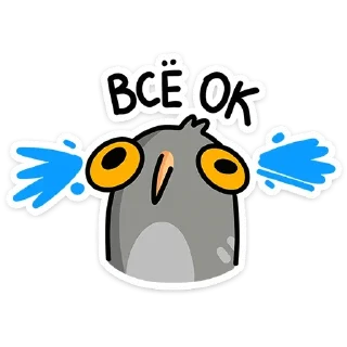 🦉