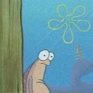 🧽