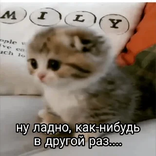 🤔