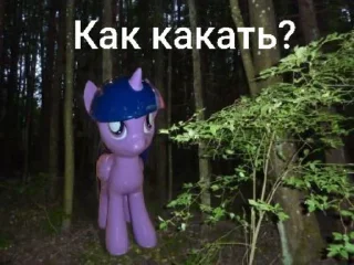 🦄