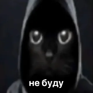 😎
