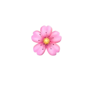 🌸