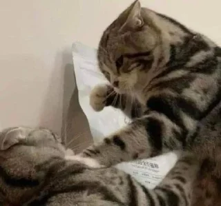 😠