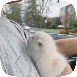 🥰