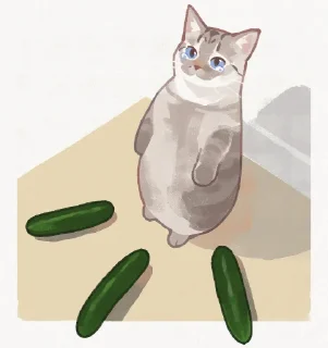 🥒