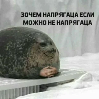 ✌