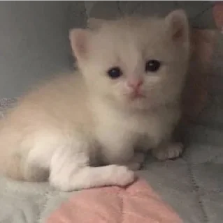 😔