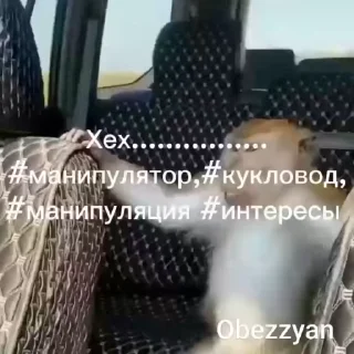 🌟
