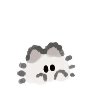 🐾