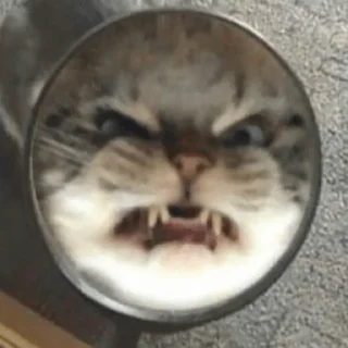 😡