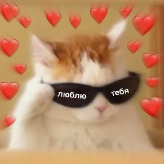 ❤️