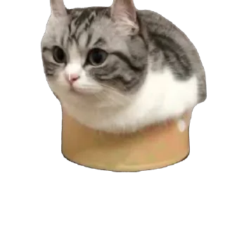 🫥