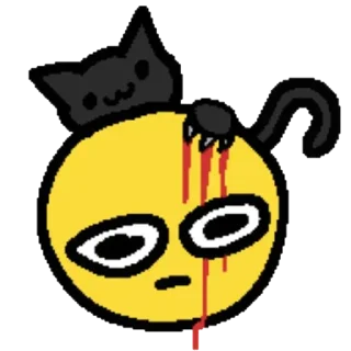 🐱