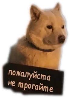 🙏