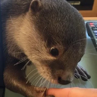 😨