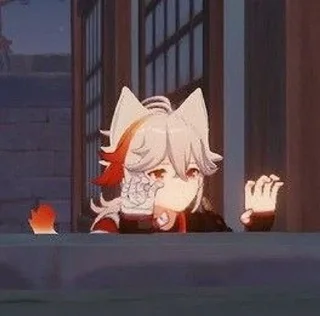 🐱