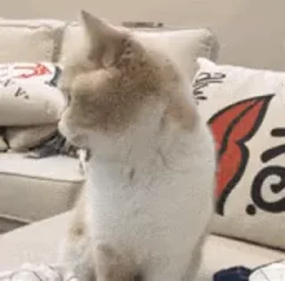 😶