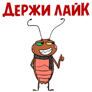 👍