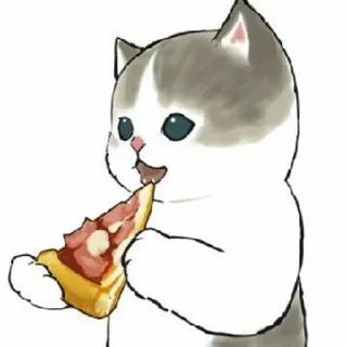 🍕