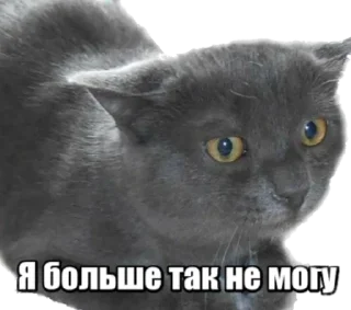 😖