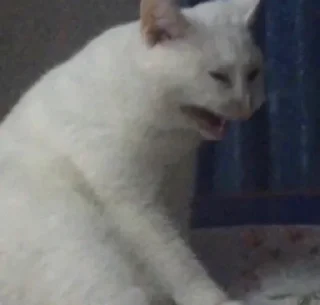 😭
