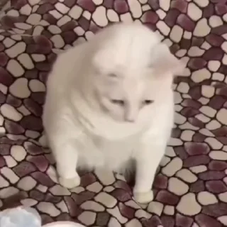 🤮