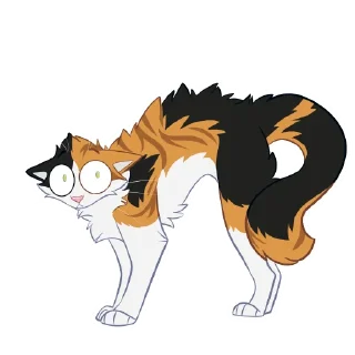 🙀