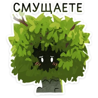 ⭐