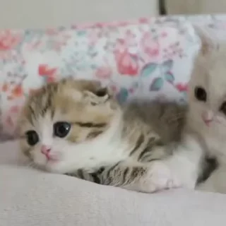 🥰