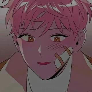 ✨