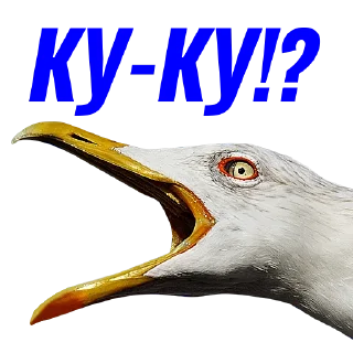 ❓