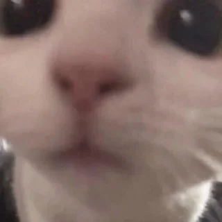 😗