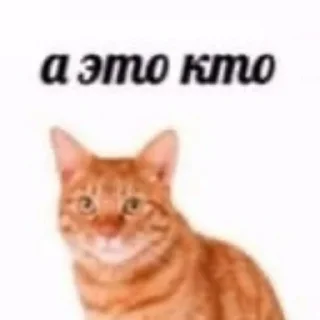 😳