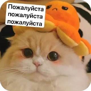 🫥
