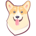 🐶