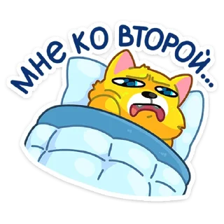 💤