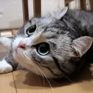 😶