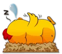 😴
