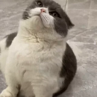 🥱