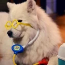 🐶